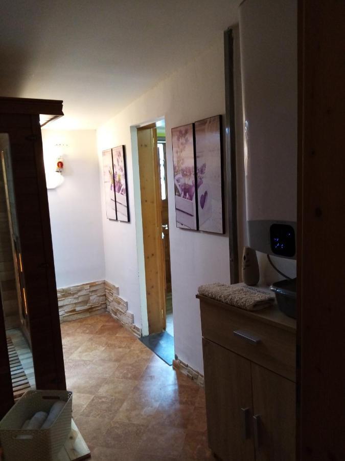 דירות נג'קניז'ה Laura Apartman מראה חיצוני תמונה