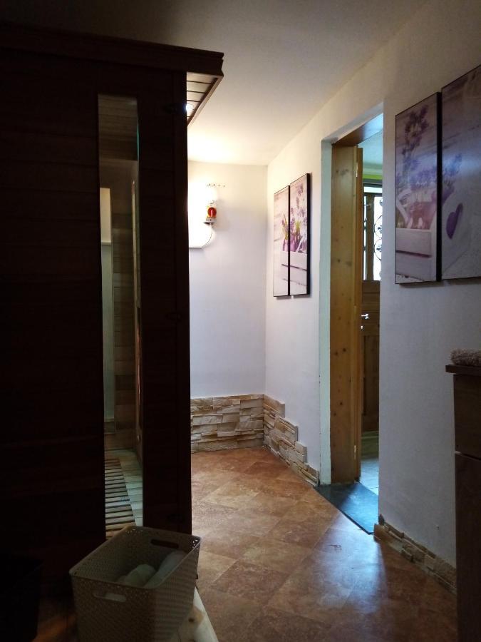 דירות נג'קניז'ה Laura Apartman מראה חיצוני תמונה